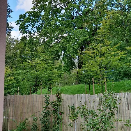 Spacious With Great Location/urban Rent Apartment *