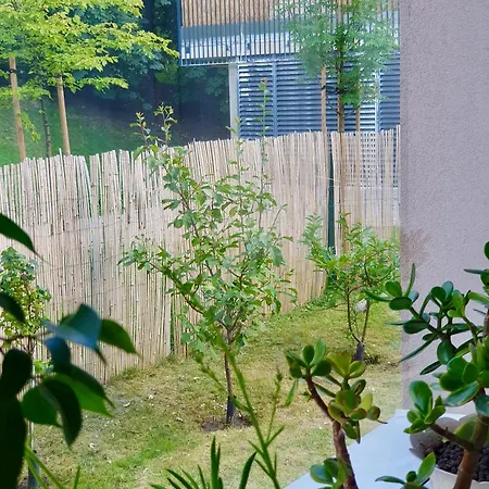 Spacious With Great Location/urban Rent