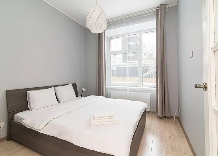 Spacious With Great Location/urban Rent Butas Vilnius