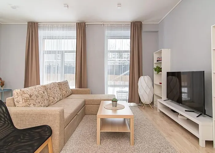 Spacious With Great Location/urban Rent Vilnius