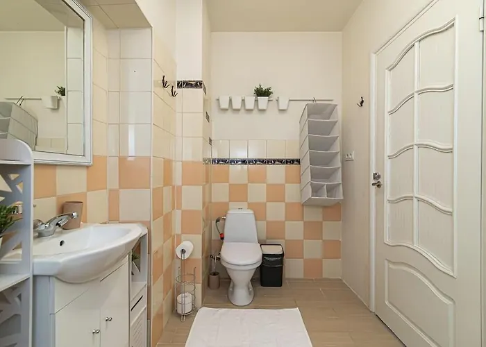 Spacious With Great Location/urban Rent ヴィリニュス