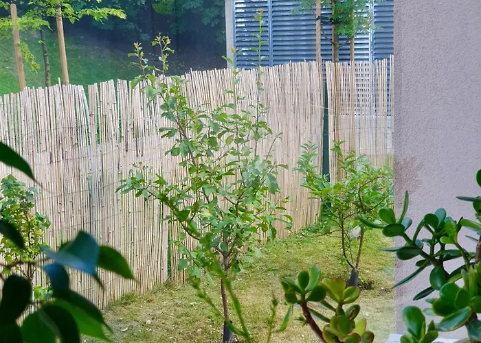 Spacious With Great Location/urban Rent