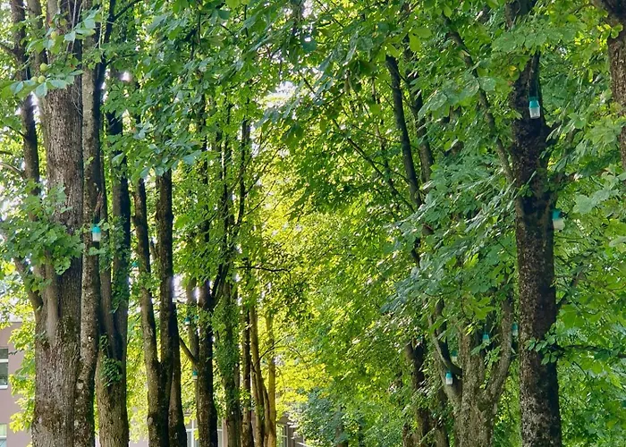 Spacious With Great Location/urban Rent Appartamento