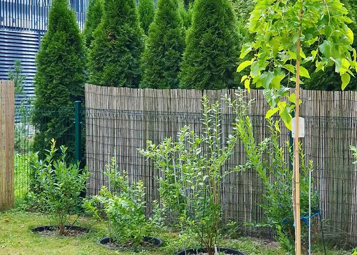 Spacious With Great Location/urban Rent ヴィリニュス