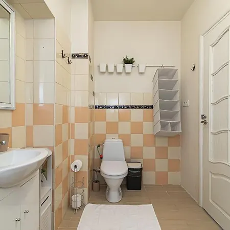 Spacious With Great Location/urban Rent Vilnius