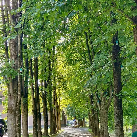 Spacious With Great Location/urban Rent Διαμέρισμα